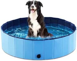 4. Jasonwell Foldable Dog Pet Bath Pool Collapsible Dog Pet Pool Bathing Tub Kiddie Pool for Dogs Cats and Kids