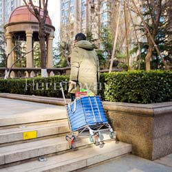 5. Hereinway 2020 Update Foldable Shopping Cart Portable Grocery Cart